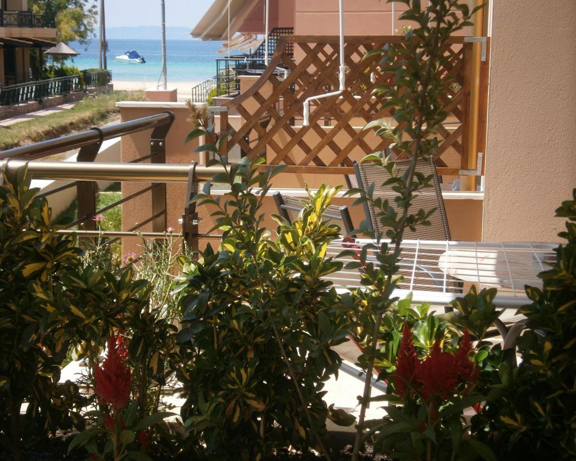 Dafni'S Seaside Luxury Studios Nikiti  Exteriör bild