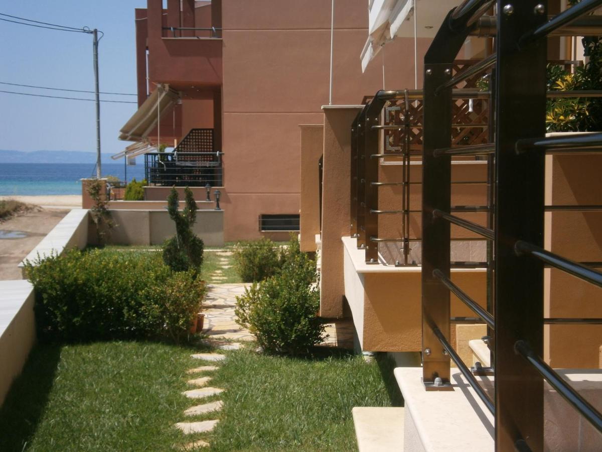 Dafni'S Seaside Luxury Studios Nikiti  Exteriör bild